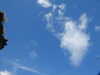 20200906134230-DSCN4828.JPG