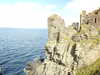 20200906134643-DSCN4837.JPG