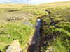20200906151538-DSCN4841.JPG