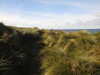 20200906160533-DSCN4879.JPG