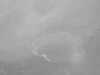 20200906172255-DSCN4911.JPG