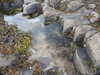 20200906172836-DSCN4922.JPG