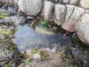20200906172956-DSCN4926.JPG