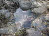 20200906173020-DSCN4927.JPG
