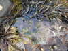 20200906173112-DSCN4931.JPG