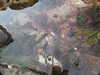 20200906173120-DSCN4932.JPG