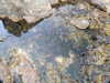 20200906173207-DSCN4934.JPG