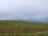 20200907104855-DSCN4945.JPG