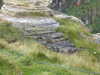 20200907105048-DSCN4955.JPG