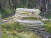 20200907105052-DSCN4956.JPG