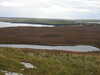 20200907110349-DSCN4974.JPG