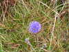 20200907111000-DSCN4985.JPG