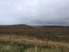 20200907135145-DSCN4989.JPG
