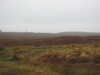 20200907143632-DSCN5008.JPG