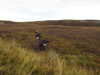 20200907175411-DSCN5013.JPG