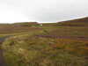 20200907175631-DSCN5015.JPG