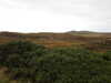 20200907180241-DSCN5017.JPG
