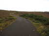 20200907180244-DSCN5018.JPG