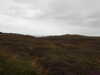 20200907180635-DSCN5020.JPG