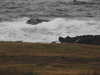 20200907181334-DSCN5036.JPG
