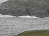 20200907181900-DSCN5042.JPG