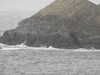 20200907181913-DSCN5044.JPG