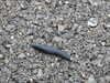 20200907182536-DSCN5047.JPG