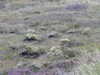 20200907183130-DSCN5052.JPG