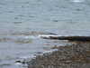 20200908111923-DSCN5074.JPG