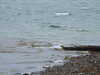20200908111924-DSCN5075.JPG