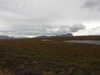 20200908113632-DSCN5087.JPG