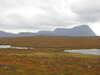 20200908113658-DSCN5090.JPG