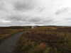 20200908113720-DSCN5092.JPG