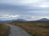 20200908113728-DSCN5093.JPG