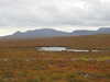 20200908113741-DSCN5096.JPG