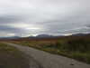 20200908113920-DSCN5100.JPG