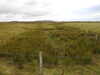 20200908114021-DSCN5103.JPG