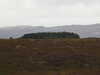 20200908114040-DSCN5104.JPG