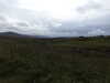 20200908150235-DSCN5107.JPG