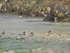 20200908151503-DSCN5124.JPG