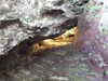 20200908152854-DSCF5458.JPG
