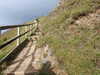 20200908153435-DSCN5135.JPG