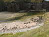 20200908153442-DSCN5136.JPG