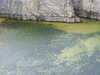 20200908153918-DSCN5145.JPG