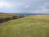 20200908153958-DSCN5146.JPG