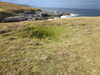 20200908154447-DSCN5152.JPG