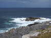 20200908154558-DSCN5153.JPG