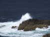20200908154858-DSCN5160.JPG