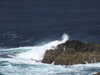20200908154910-DSCN5162.JPG
