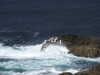 20200908154913-DSCN5163.JPG